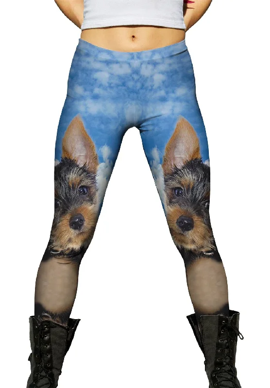 Pondering Yorkie Feminine Women's Style 