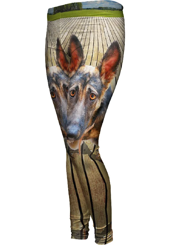 Hilarious German Shepherd Scandinavian