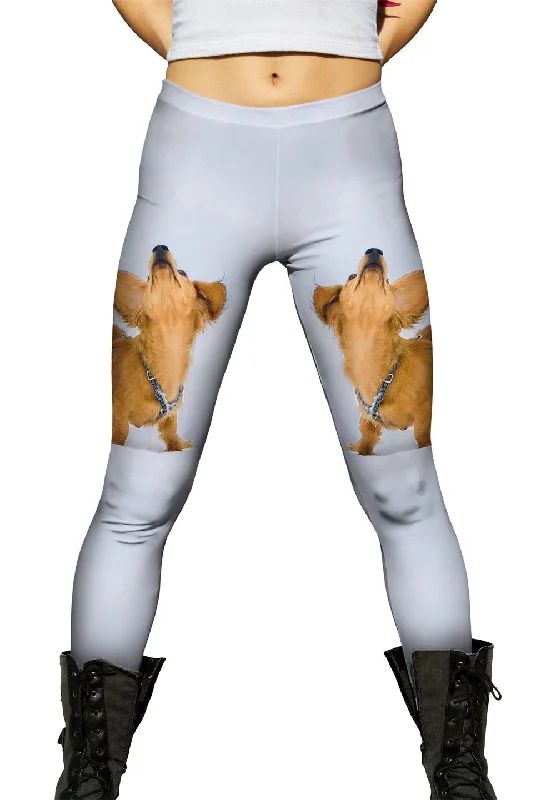 Dachshund Snow Dance Monochromatic All - in - one
