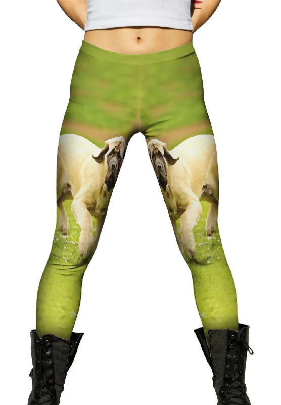 Courageous Mastiff Modern Women's 