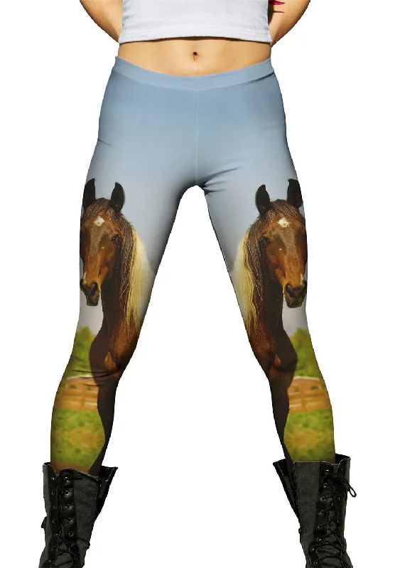 Mountainous Brown White Horse Luxurious Women's High -  end