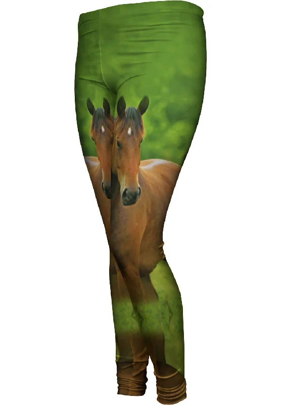 Boundless Horse Cashmere
