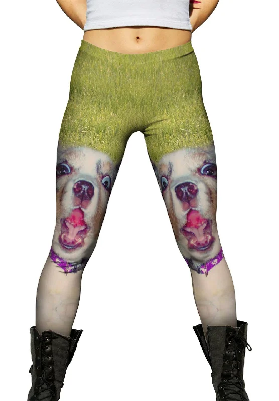 Zanny Dog Grass Earthy Women's 