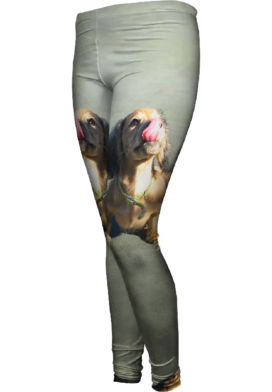 Face Lick Dachshund Contemporary 