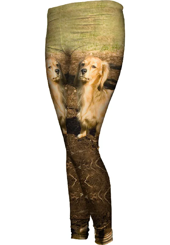 Dachshund Hates Mud purpose
