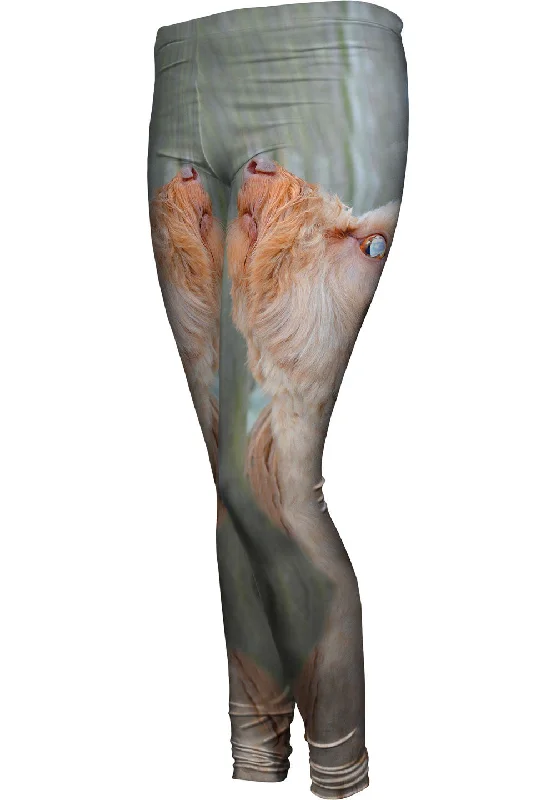 Skys Limit Dachshund Feminine Women's Style 
