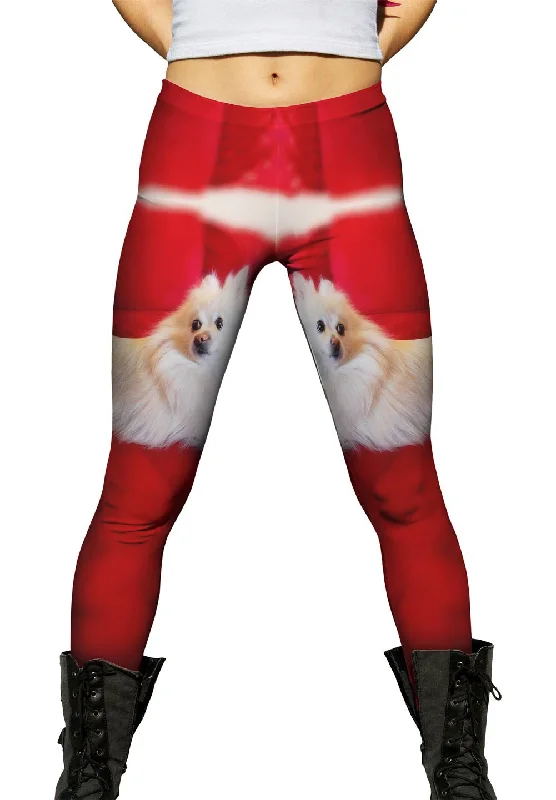 Super Pomeranian Cashmere