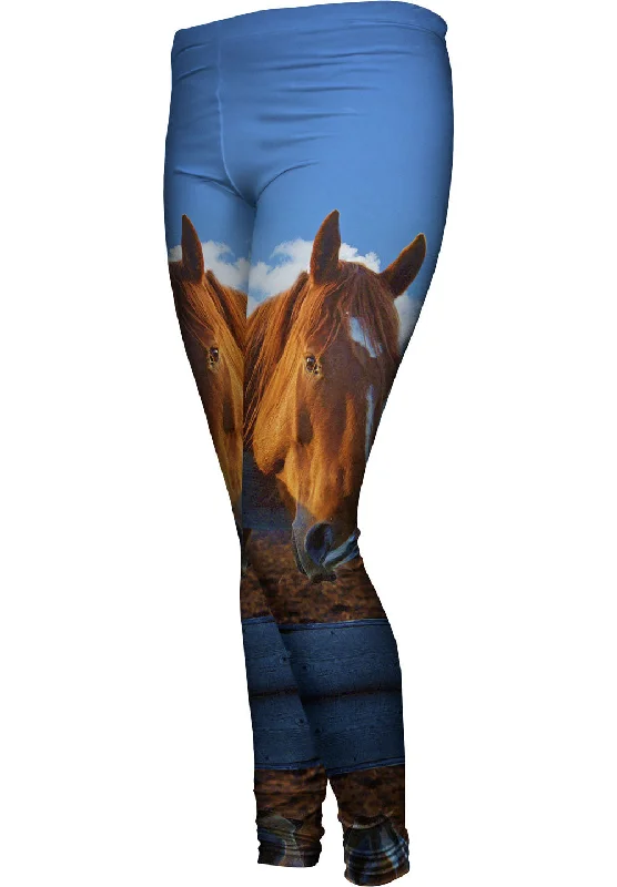 Fearless Stable Horse Artistic Women's Hand - painted