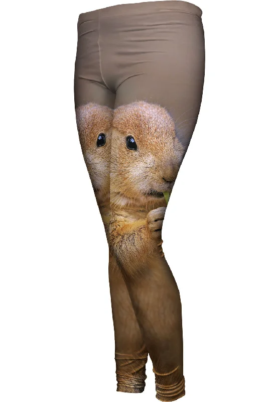 Juicy Grass Prairie Dog Gym
