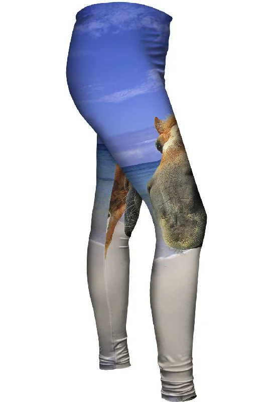 Horse Beach Snout Modern Women's 