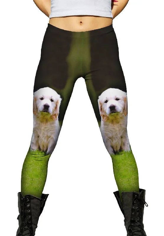 Tiny Puppy Retriever Refined Women's Velvet