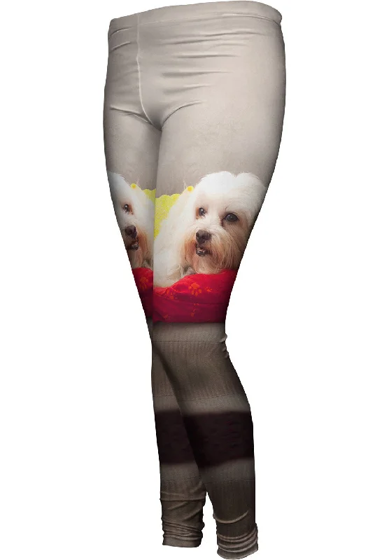 Maltese On Doggy Bed Bohemian Women's Free