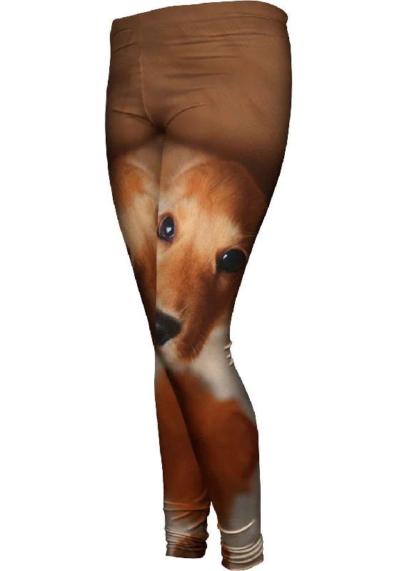 Kindly Golden Cocker Spaniel Geometric