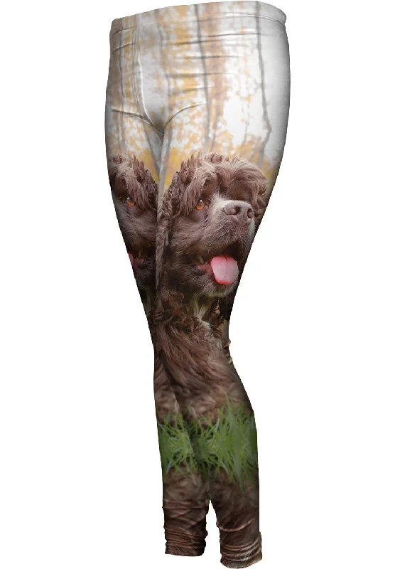 Cockerspaniel In Woods British Gentlewoman Style