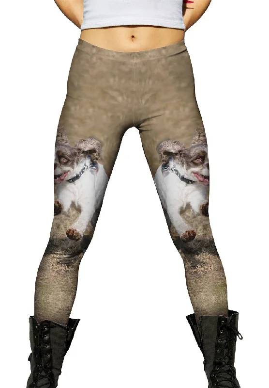 Cocker Spaniel Race Bold Women's Animal Print