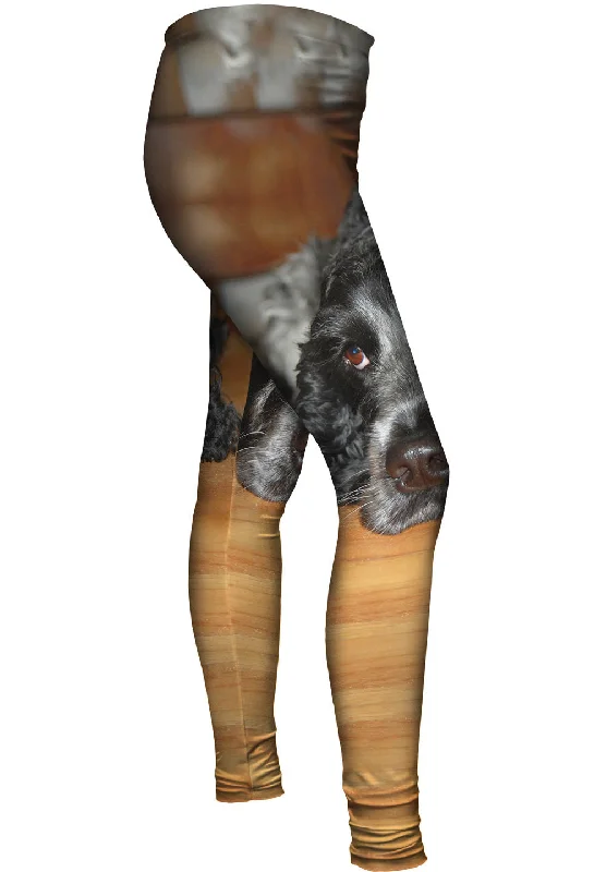 Quizzical Cocker Spaniel Cozy Women's Sherpa - lined