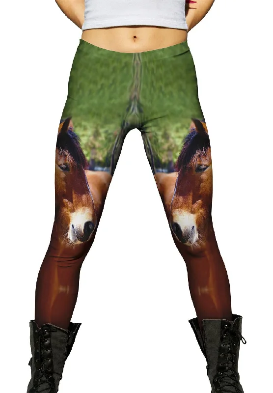 Longing  Horse Confident Women's Power