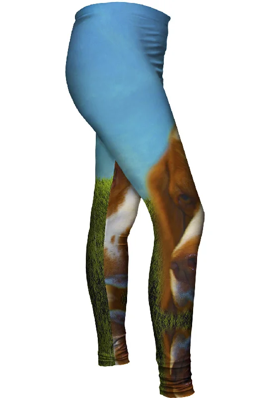 Brave Brown Spaniel Feminine Women's Style 