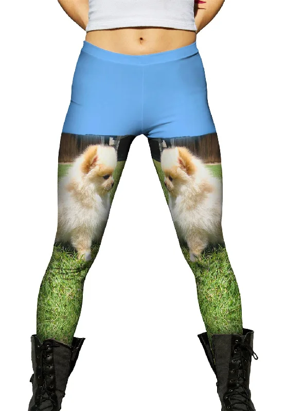 Entranced Pomeranian Luxurious Women's High -  end