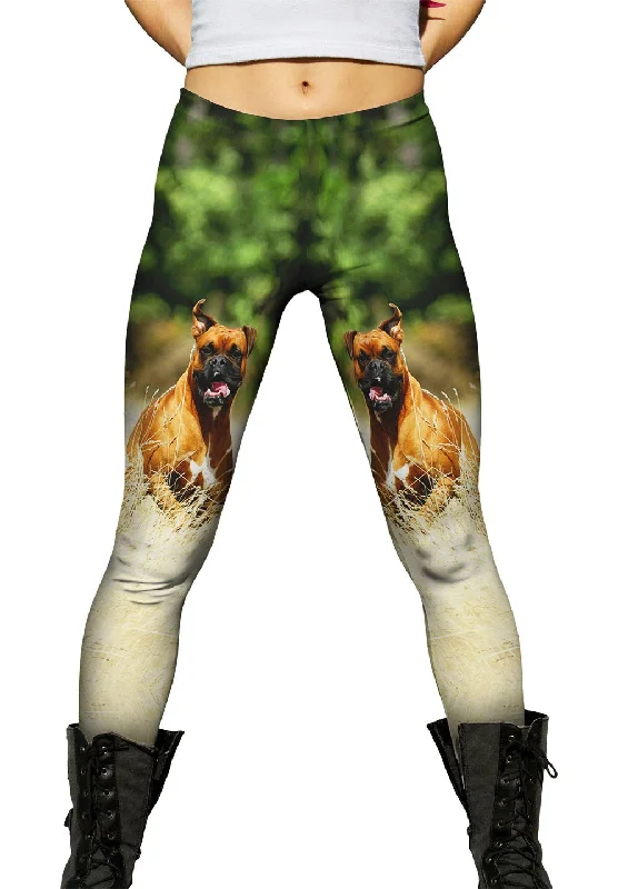 Excited Boxer Sprinting Scandinavian